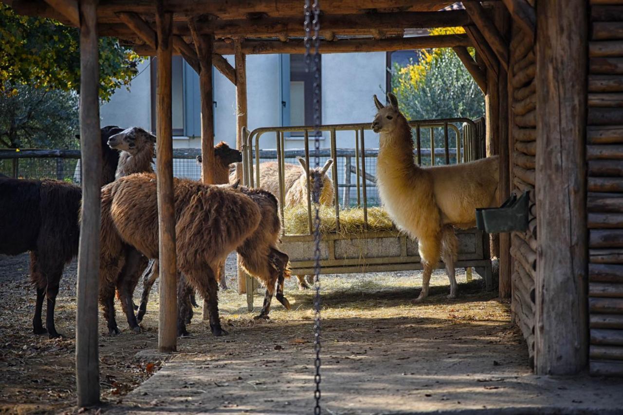 Agriturismo Corte Benetti Rovigo Extérieur photo