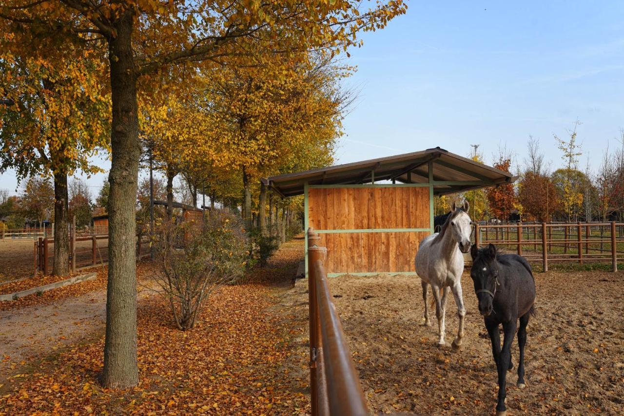 Agriturismo Corte Benetti Rovigo Extérieur photo